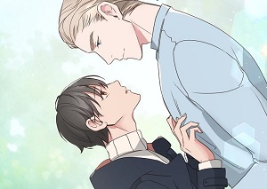 해 밝은 밤의 산책